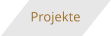 Projekte